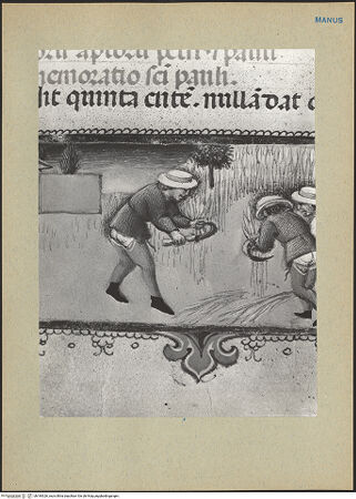 Vorderseite von bh184326_recto