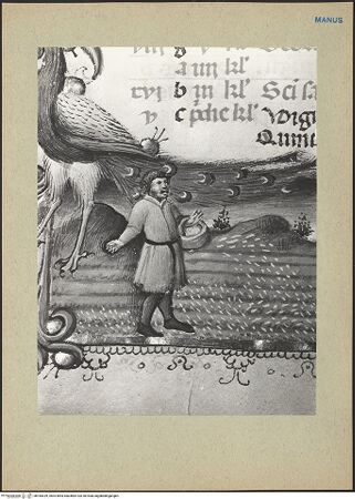 Vorderseite von bh184329_recto