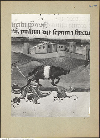 Vorderseite von bh184330_recto