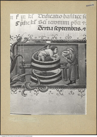 Vorderseite von bh184332_recto