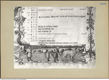 Vorderseite von bh184334_recto