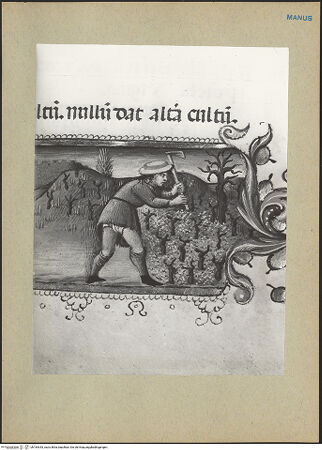 Vorderseite von bh184343_recto