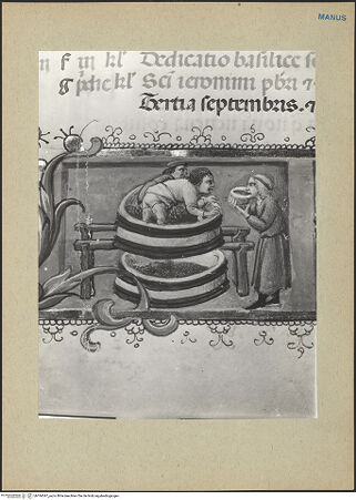 Vorderseite von bh184347_recto