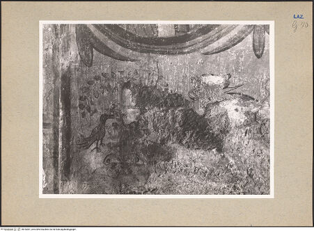 Vorderseite von bh184381_recto