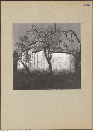 Vorderseite von bh184611_recto