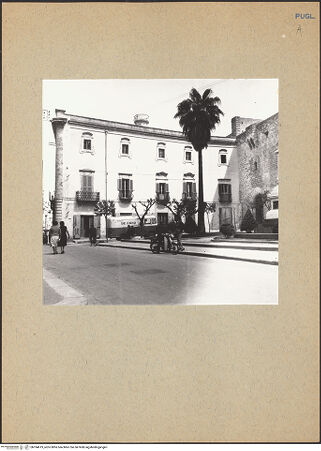 Vorderseite von bh184619_recto