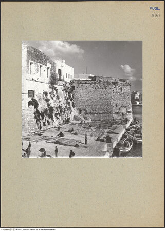 Vorderseite von bh184627_recto