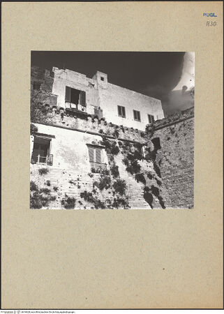 Vorderseite von bh184628_recto