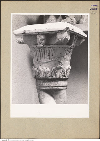 Vorderseite von Hutzel, Max [https://www.deutsche-digitale-bibliothek.de/content/lizenzen/rv-ez/] Säule mit Kapitell - Detail: Kapitell, bh184636_recto. Foto: Hutzel, Max.