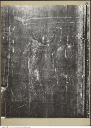 Vorderseite von bh184717_recto