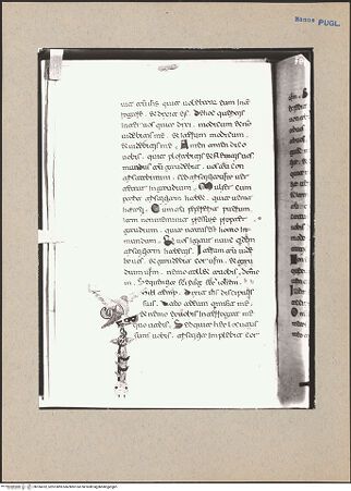 Vorderseite von bh184762_recto