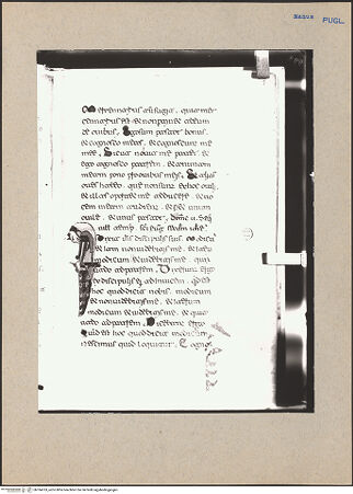 Vorderseite von bh184763_recto