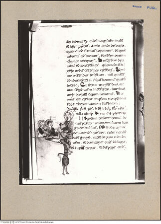 Vorderseite von bh184765_recto