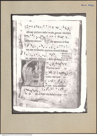 Vorderseite von bh184781_recto