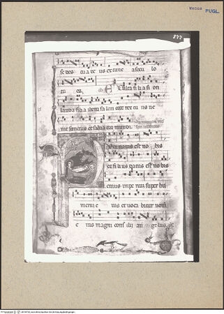 Vorderseite von bh184782_recto