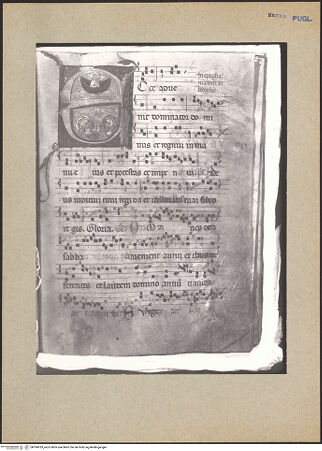 Vorderseite von bh184783_recto