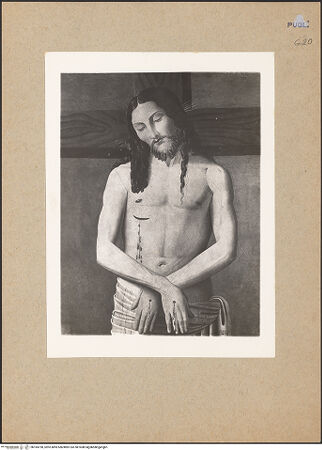 Vorderseite von bh184790_recto