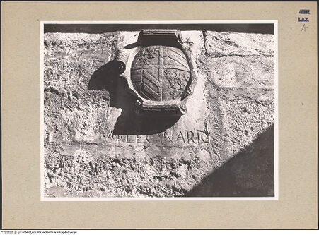 Vorderseite von bh184864_recto