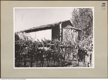 Vorderseite von bh184866_recto