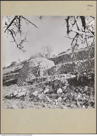 Vorderseite von Hamm [https://www.deutsche-digitale-bibliothek.de/content/lizenzen/rv-ez/] Tumulusbau, bh184920_recto. Foto: Hamm, Franz Joseph ?.