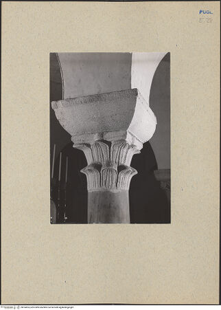 Vorderseite von ICCD [https://www.deutsche-digitale-bibliothek.de/content/lizenzen/rv-ez/] Kapitelle der Unterkirche Santa Maria della Scala - Kapitell des elften Jochs links, bh184953_recto. Foto.