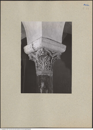 Vorderseite von ICCD [https://www.deutsche-digitale-bibliothek.de/content/lizenzen/rv-ez/] Kapitelle der Unterkirche Santa Maria della Scala - Kapitell des siebten Jochs rechts, bh184959_recto. Foto.