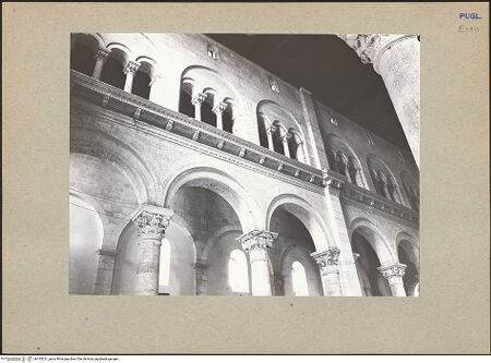 Vorderseite von bh185231_recto