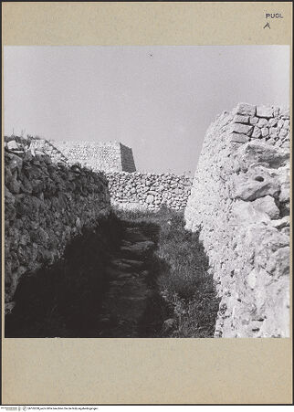 Vorderseite von bh185338_recto