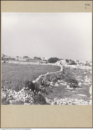 Vorderseite von bh185339_recto