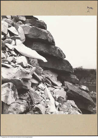 Vorderseite von bh185356_recto