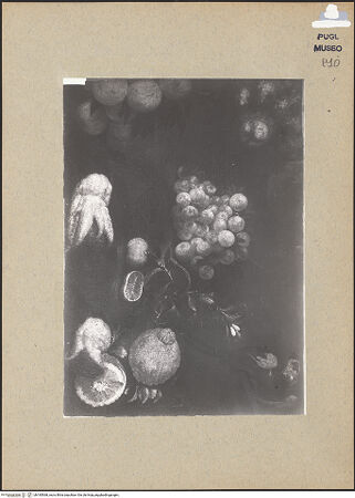 Vorderseite von bh185568_recto