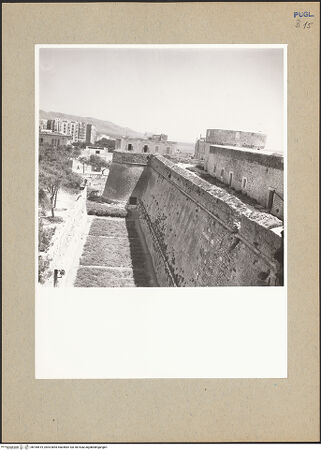 Vorderseite von bh185619_recto