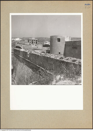 Vorderseite von bh185623_recto