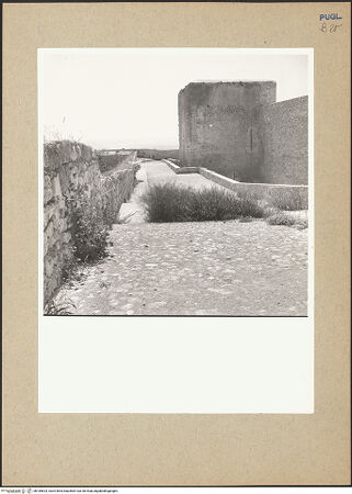 Vorderseite von bh185624_recto