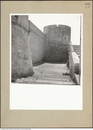 Vorderseite von bh185625_recto