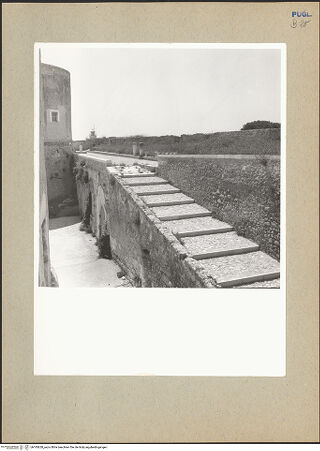 Vorderseite von bh185628_recto