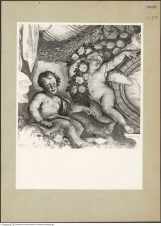 Vorderseite von bh185684_recto