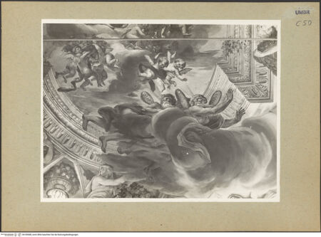 Vorderseite von bh185688_recto