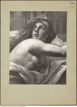 Vorderseite von bh185694_recto