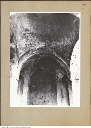 Vorderseite von bh185981_recto