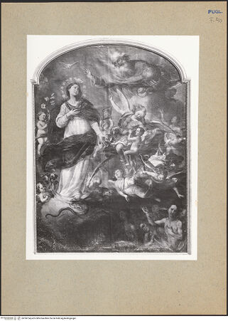 Vorderseite von bh186154_recto