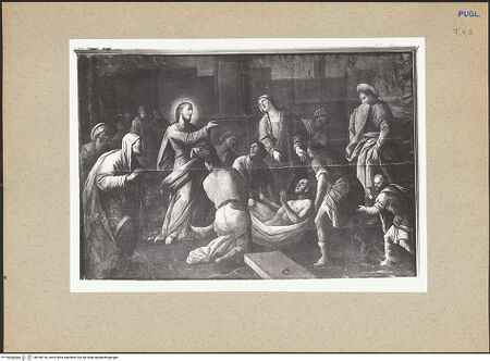 Vorderseite von bh186156_recto