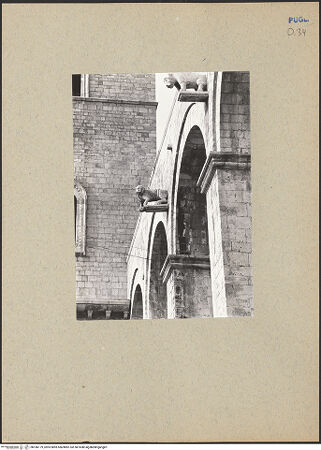 Vorderseite von ICCD [https://www.deutsche-digitale-bibliothek.de/content/lizenzen/rv-ez/] CattedraleSüdfassade - Detail, Konsole (Löwe), bh186179_recto. Foto.
