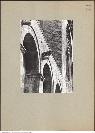 Vorderseite von ICCD [https://www.deutsche-digitale-bibliothek.de/content/lizenzen/rv-ez/] CattedraleSüdfassade - Detail, Konsole (Löwe), bh186182_recto. Foto.