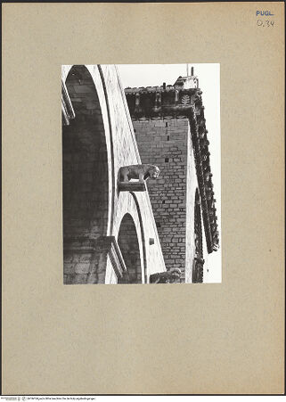 Vorderseite von ICCD [https://www.deutsche-digitale-bibliothek.de/content/lizenzen/rv-ez/] CattedraleSüdfassade - Detail, Konsole (Löwe), bh186184_recto. Foto.