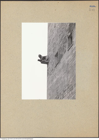 Vorderseite von ICCD [https://www.deutsche-digitale-bibliothek.de/content/lizenzen/rv-ez/] CattedraleNordfassadeNordquerhausarm - Konsole mit Löwe, bh186187_recto. Foto.