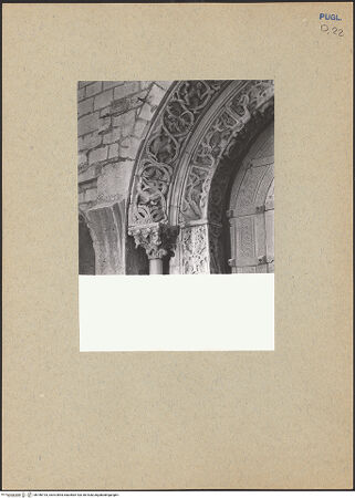 Vorderseite von ICCD [https://www.deutsche-digitale-bibliothek.de/content/lizenzen/rv-ez/] HauptportalArchivolten mit Tieren und fantastischen Kreaturen - Linke Seite, Detail, bh186193_recto. Foto.