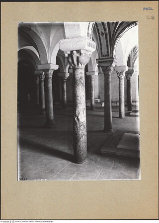 Vorderseite von ICCD [https://www.deutsche-digitale-bibliothek.de/content/lizenzen/rv-ez/] CattedraleKrypta - Innenansicht von Nordosten, bh186223_recto. Foto.