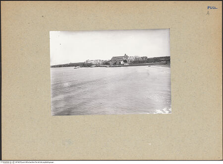 Vorderseite von bh186233_recto