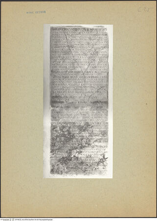 Vorderseite von bh186252_recto